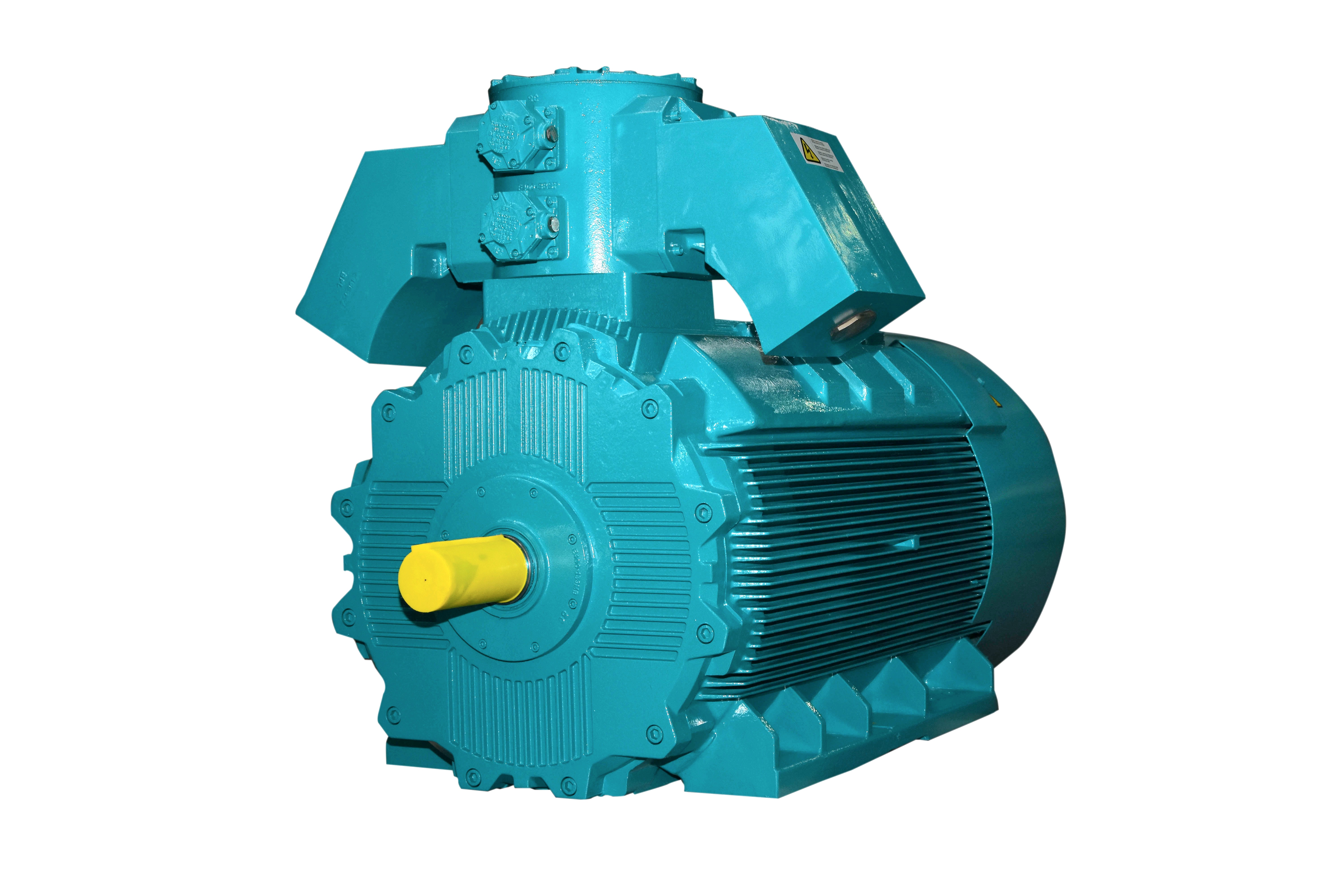 Flame Proof Motors Ex 'db' (LV)